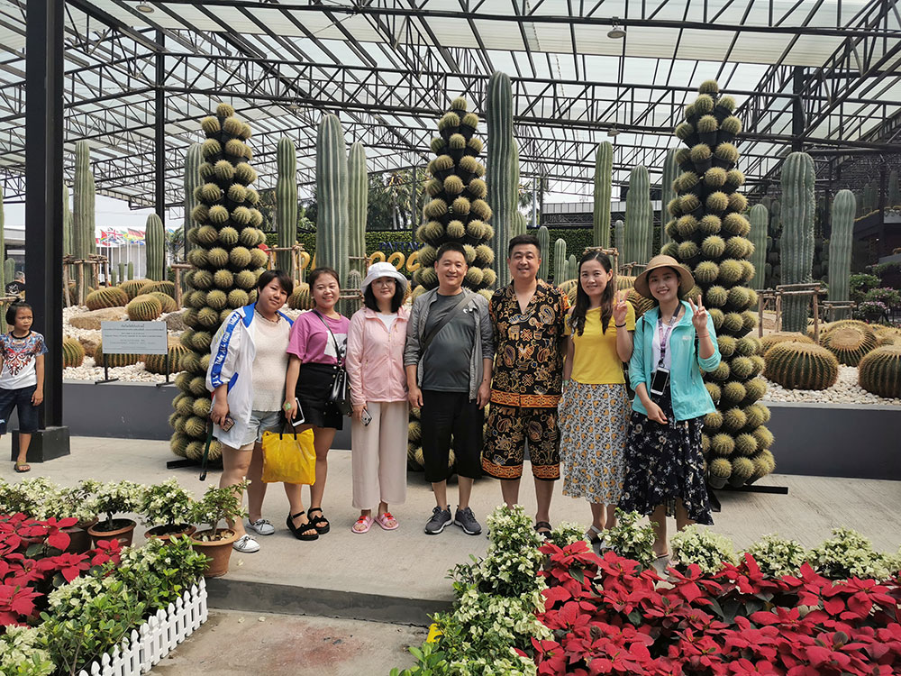 出發(fā)在鴻成，暢爽泰國游(圖3)